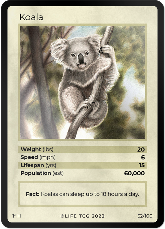 Cards 5