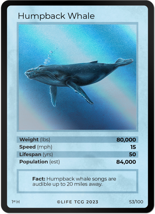 Cards 6