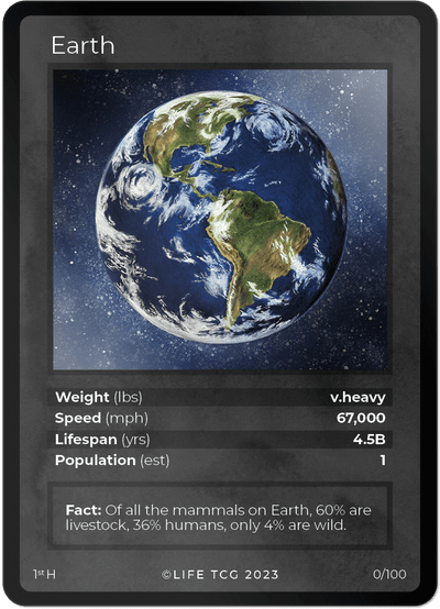 Holographic Earth