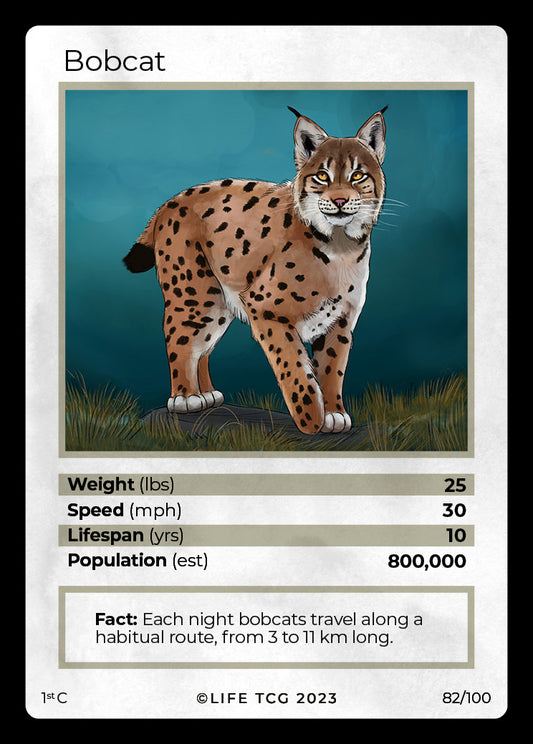 Cards 29