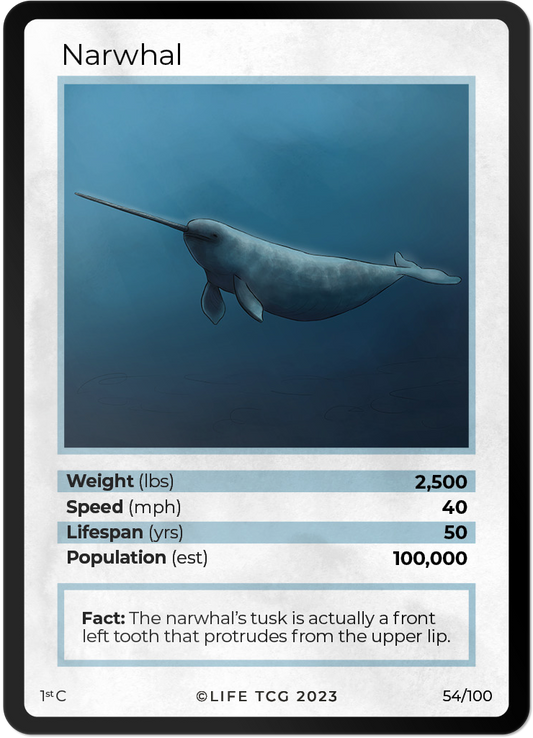 Cards 1