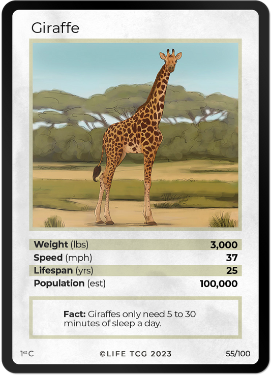 Cards 2