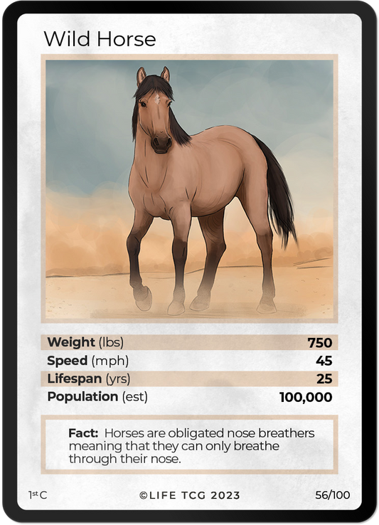Cards 3