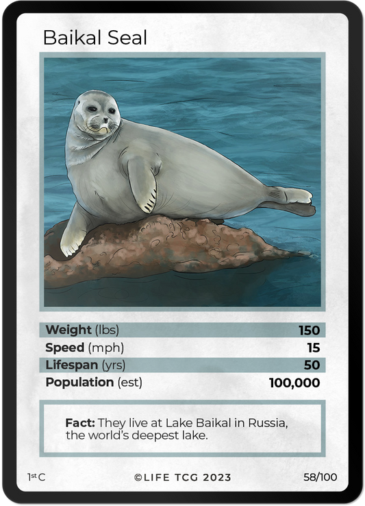 Cards 5