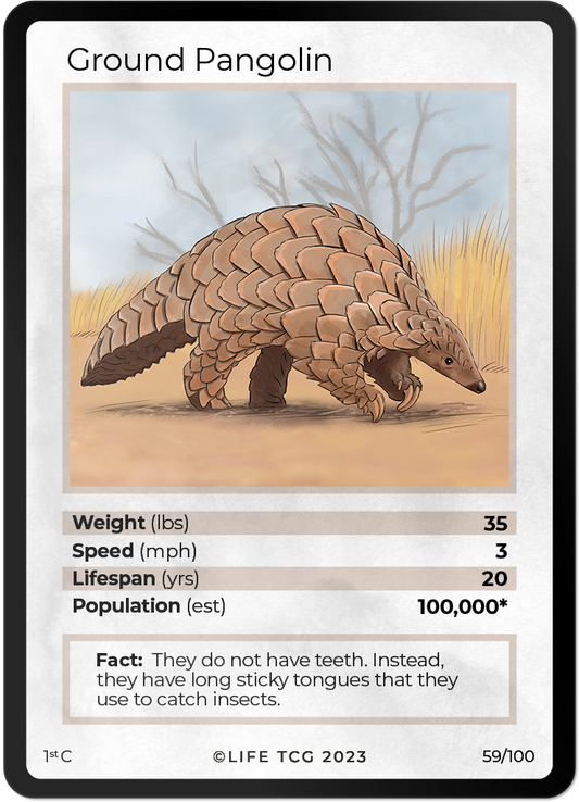 Cards 6