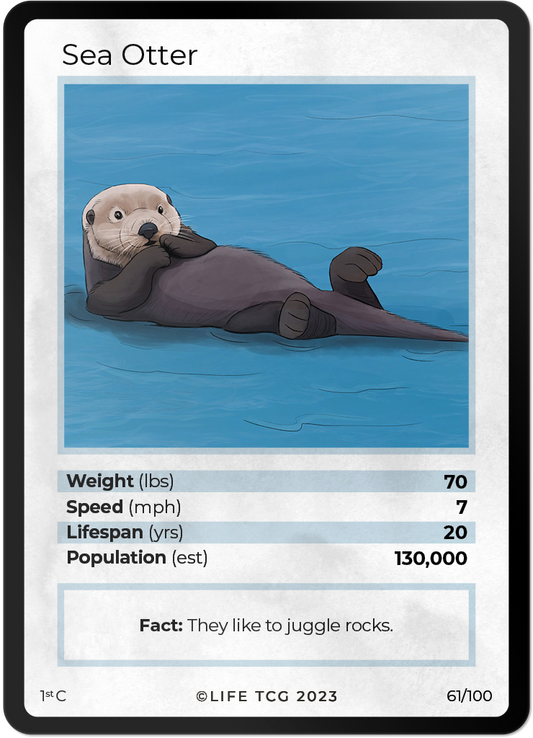 Cards 8