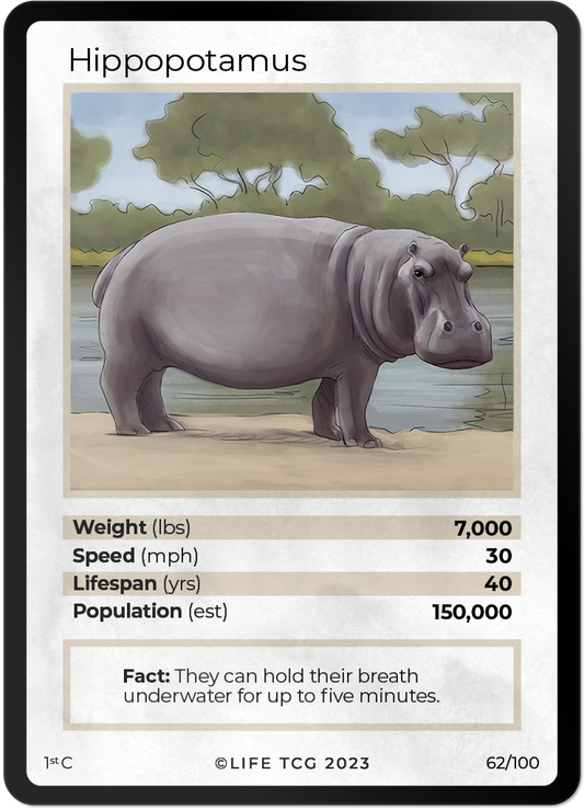 Cards 9