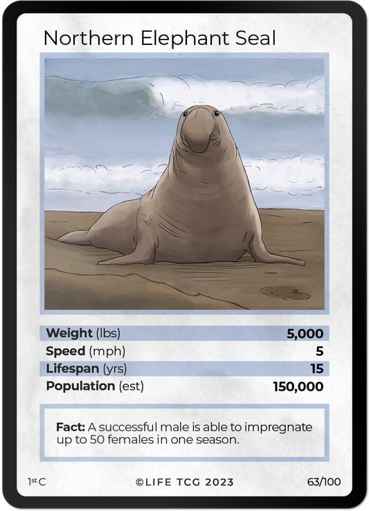 Cards 10