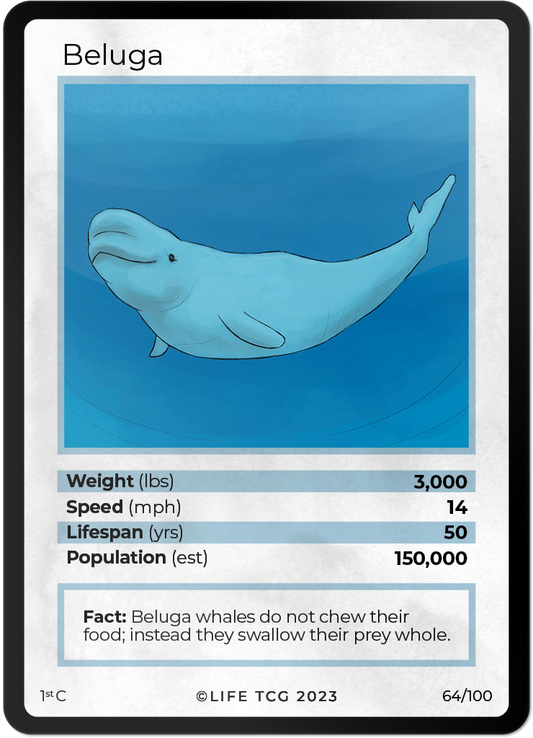 Cards 11