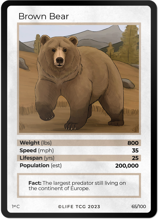 Cards 12