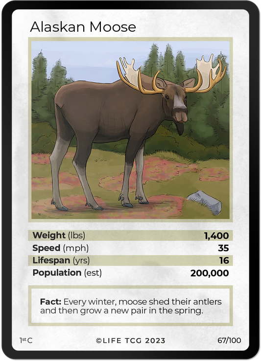 Cards 14