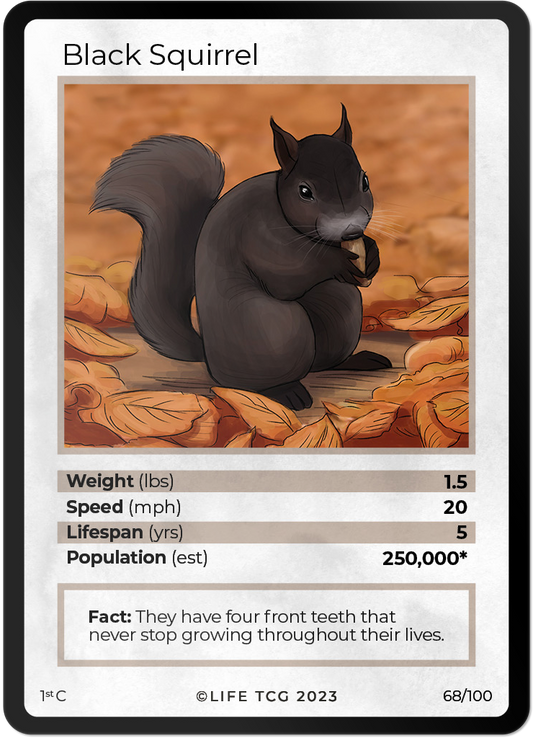 Cards 15