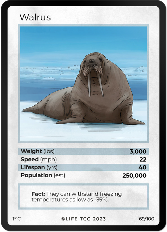 Cards 16
