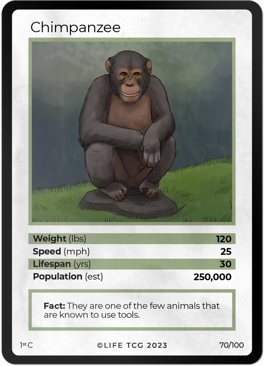 Cards 17