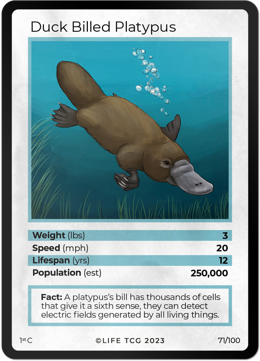 Cards 18