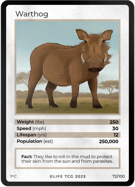 Cards 19