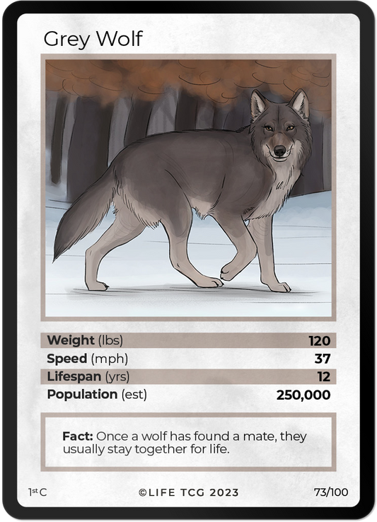 Cards 20