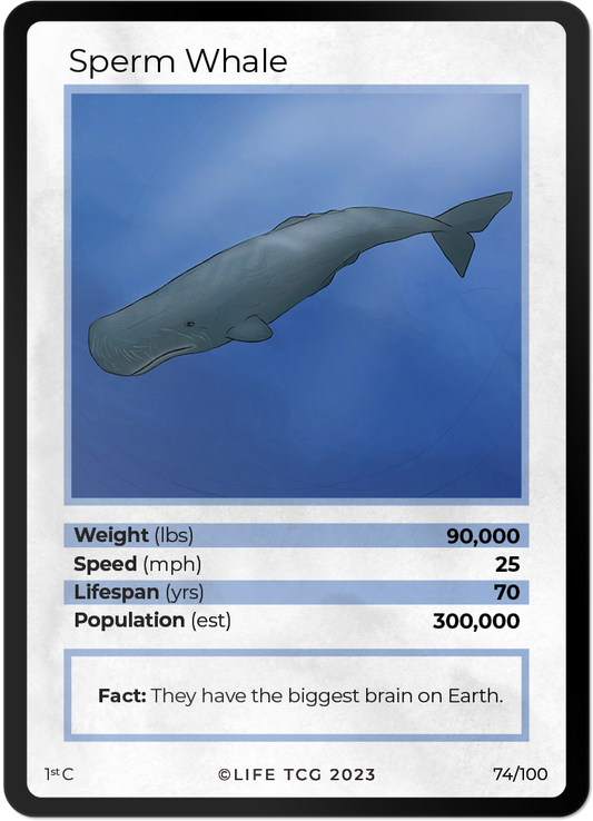 Cards 21