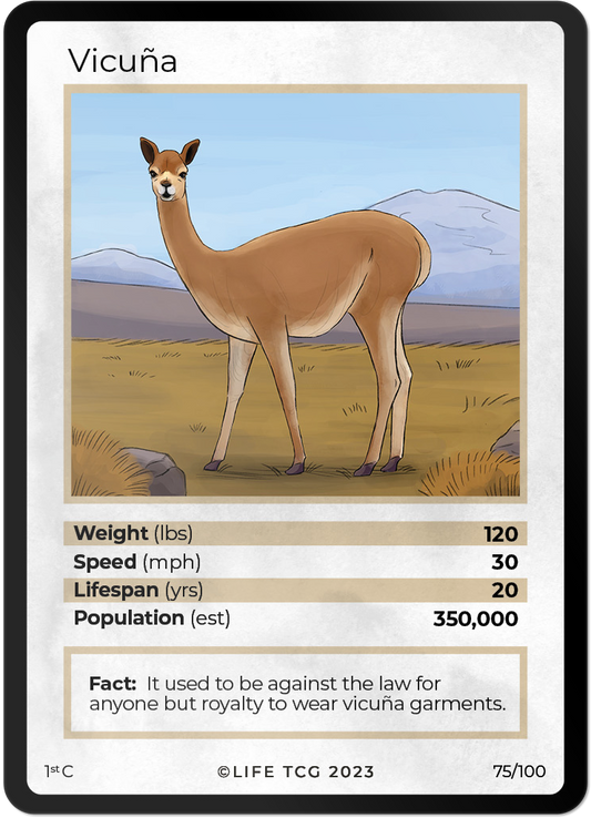 Cards 22
