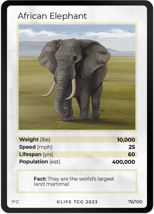 Cards 23