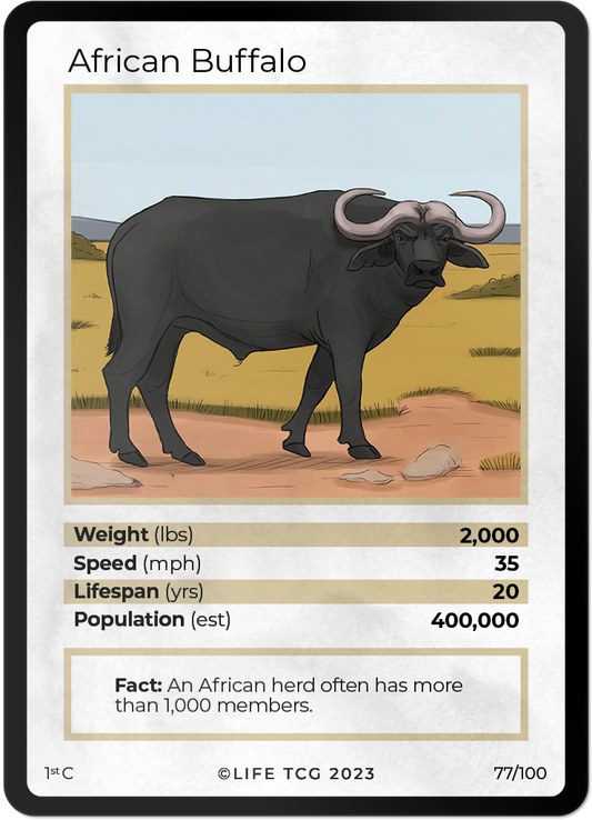 Cards 24