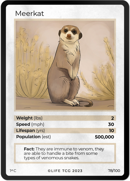 Cards 25