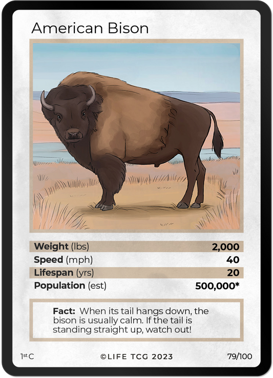 Cards 26