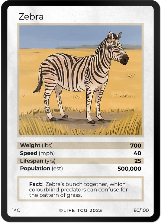 Cards 27