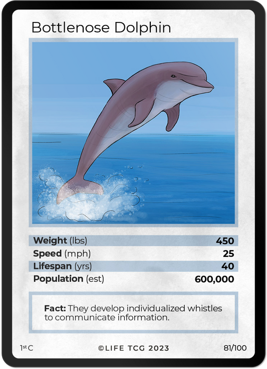 Cards 28