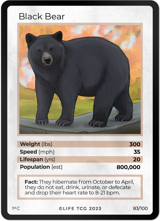 Cards 30