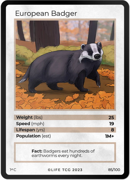 Cards 32