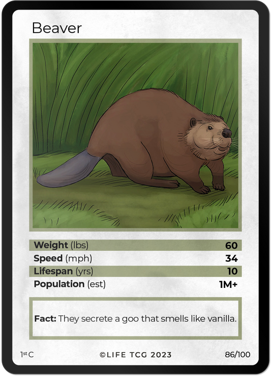 Cards 33