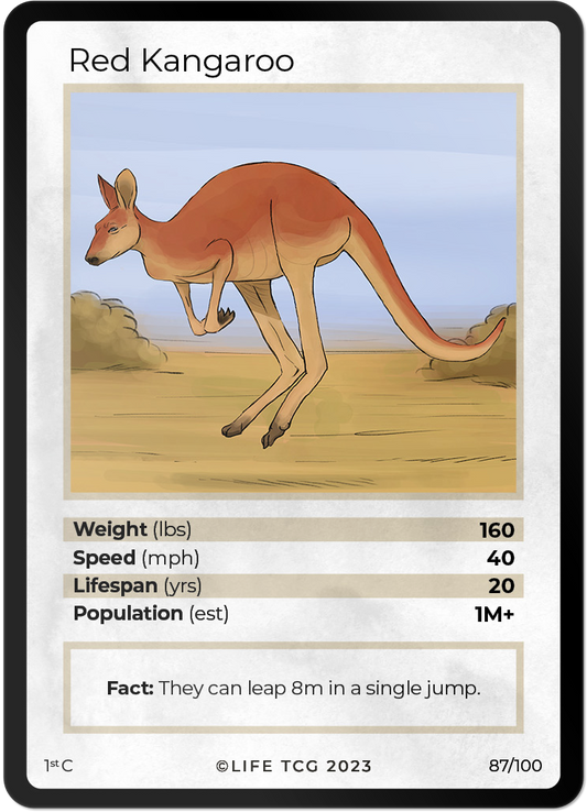 Cards 34