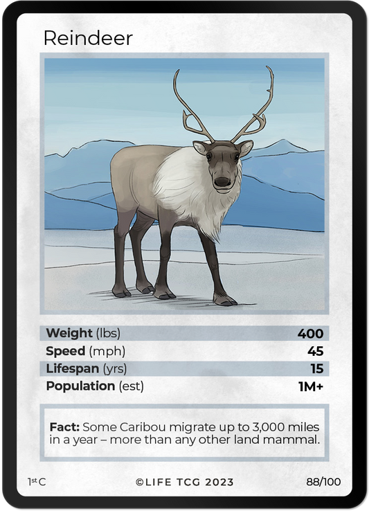 Cards 35