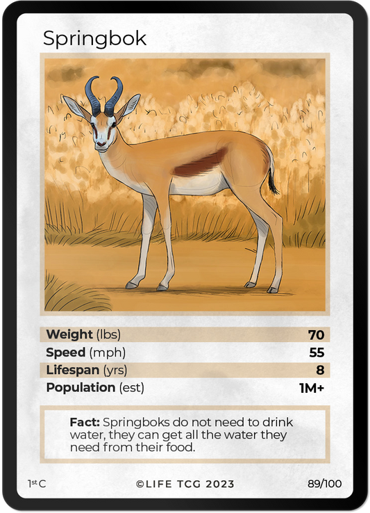 Cards 36