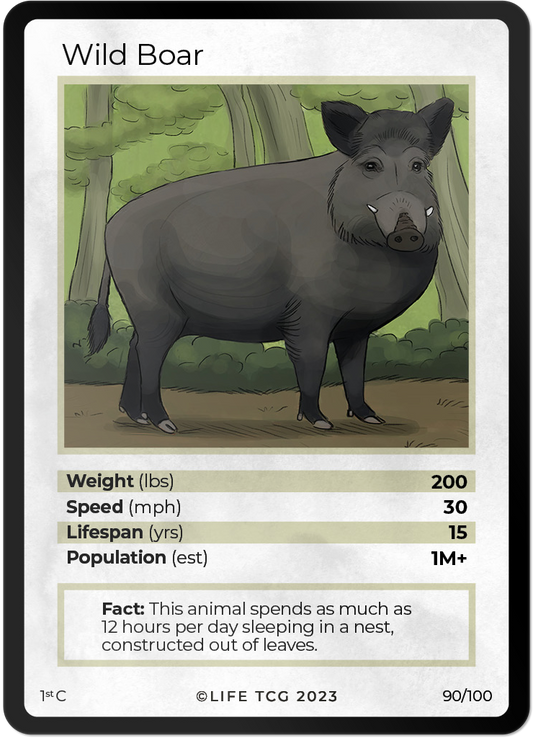 Cards 37