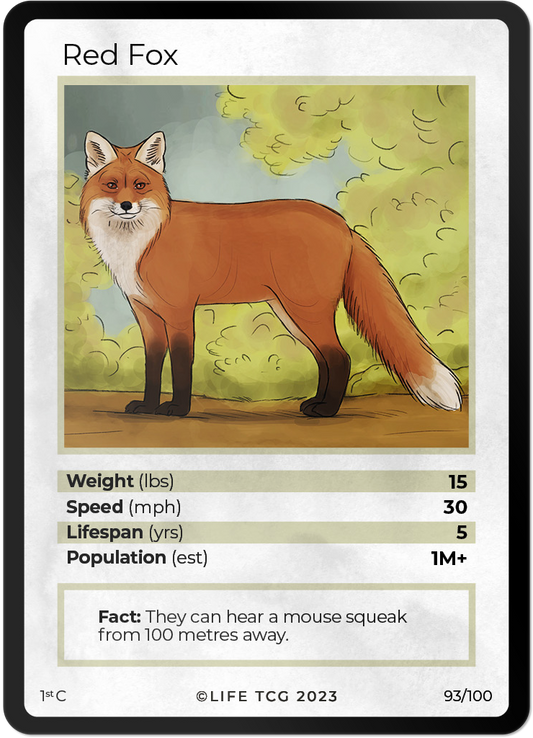 Cards 40