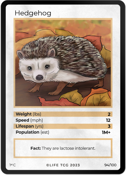 Cards 41