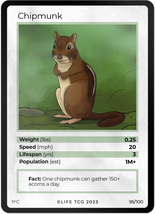 Cards 42