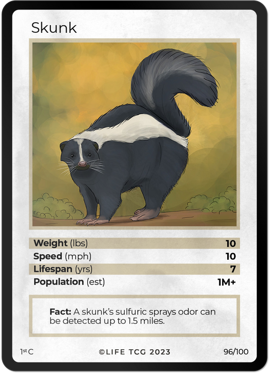 Cards 43