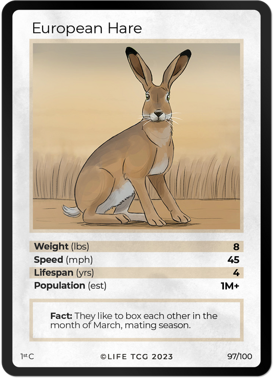 Cards 44