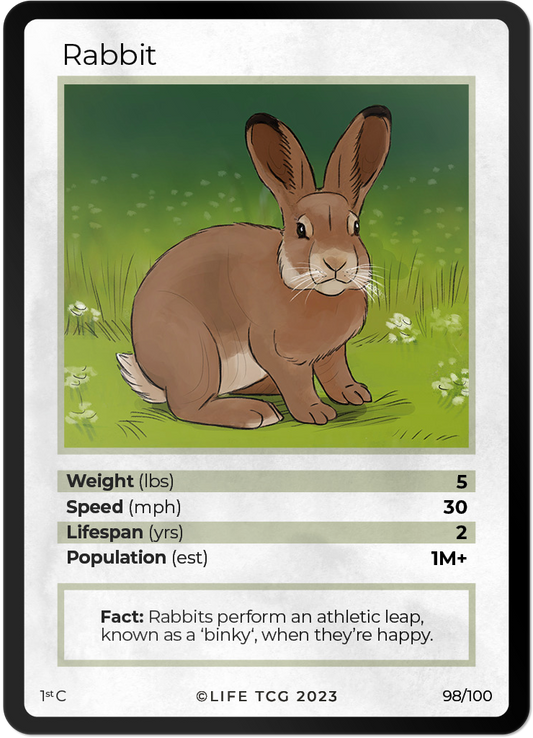Cards 45