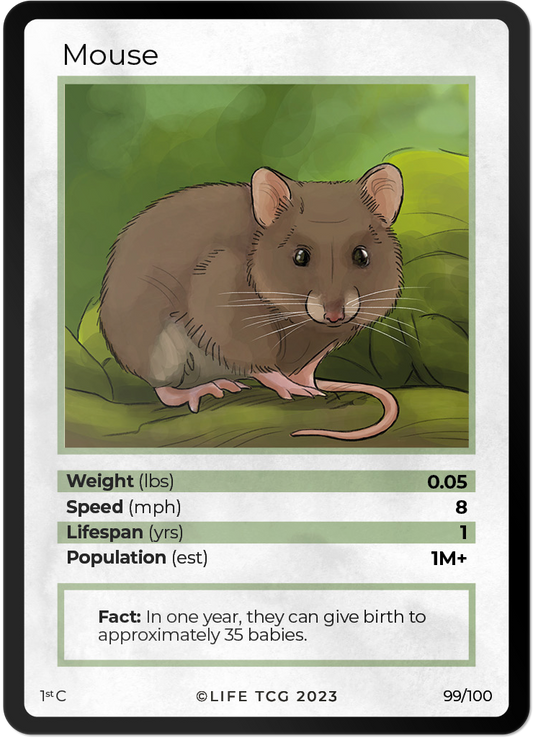 Cards 46