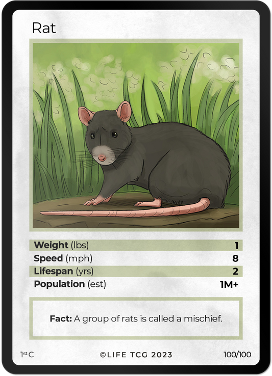 Cards 47