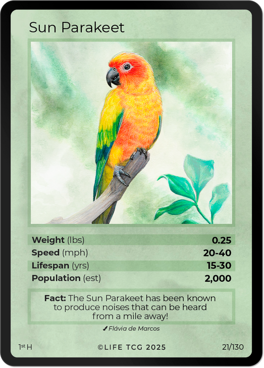 pokemon bird cards V - 6 Card Lot - Flying Types - Talonflame - Pidgeot - Cramorant Decidueye -137/196-029/185 30 Retreat Cost legendary bird pokemon cards Last