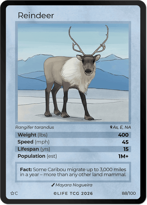 SE Common