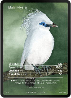 Full Art