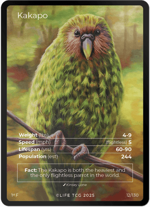 Full Art