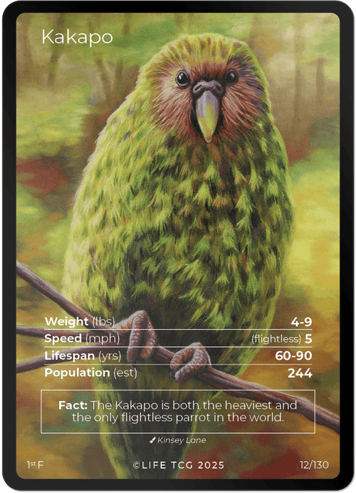 1st Edition Birds card