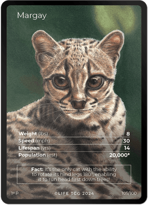 Full Art
